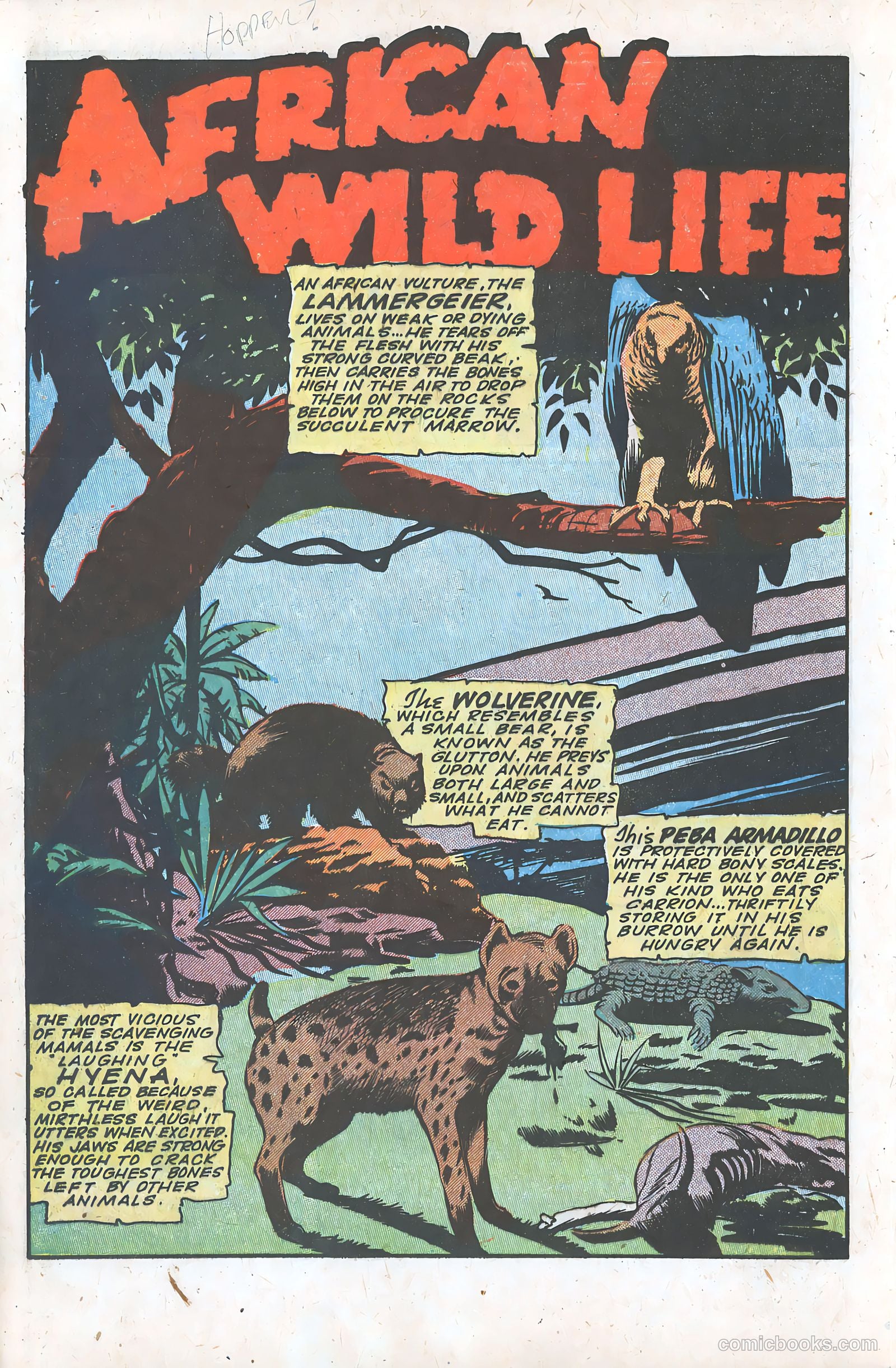 Jungle Comics #64 — page 28 of 52