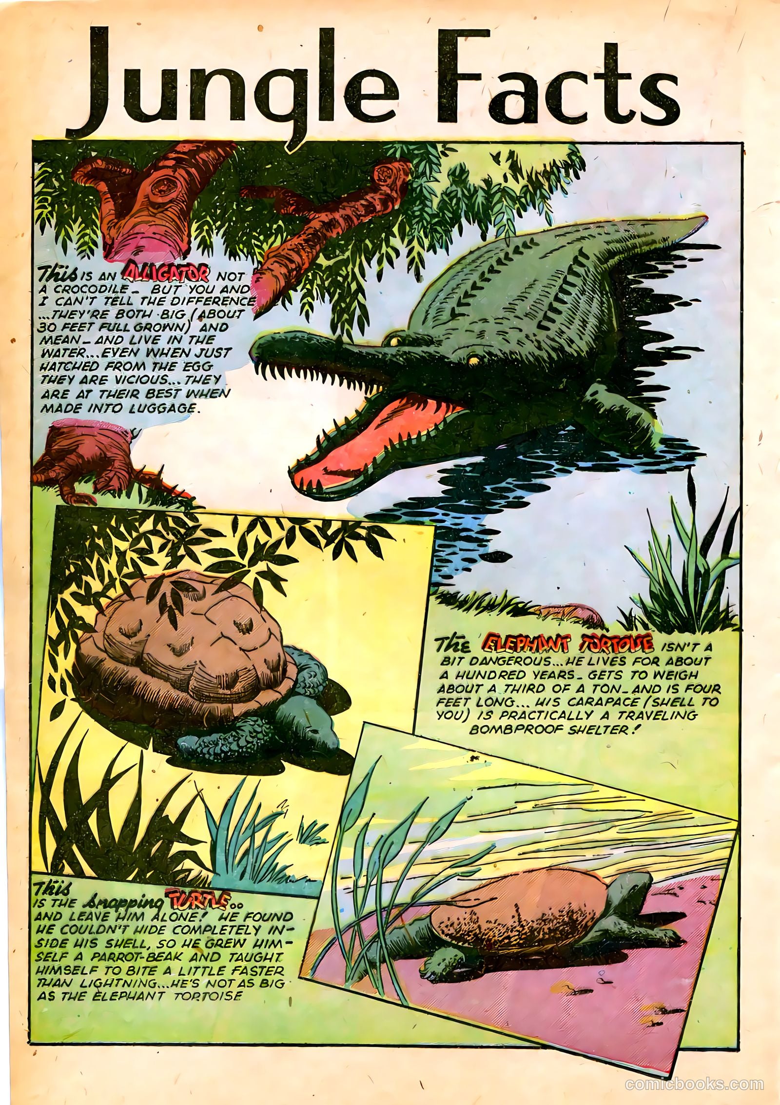 Jungle Comics #65 — page 28 of 52
