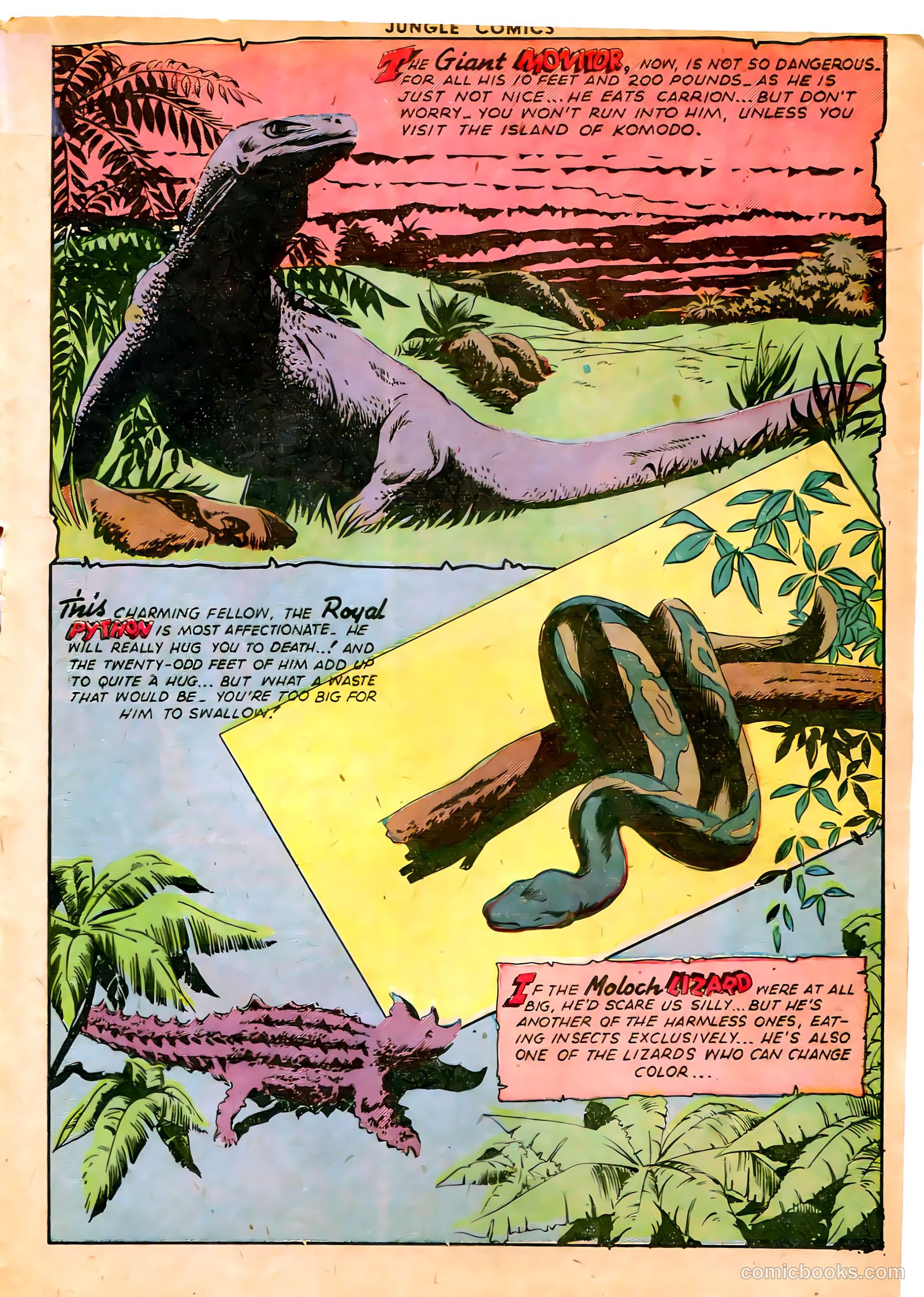 Jungle Comics #65 — page 29 of 52