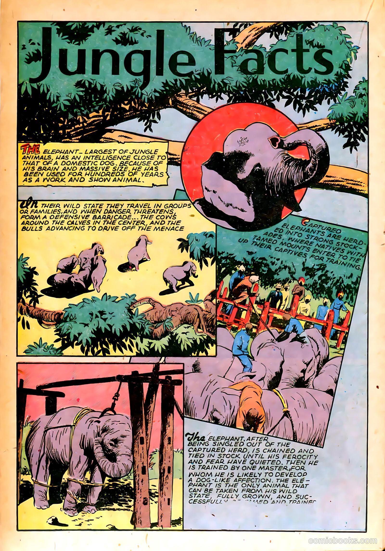 Jungle Comics #66 — page 28 of 52