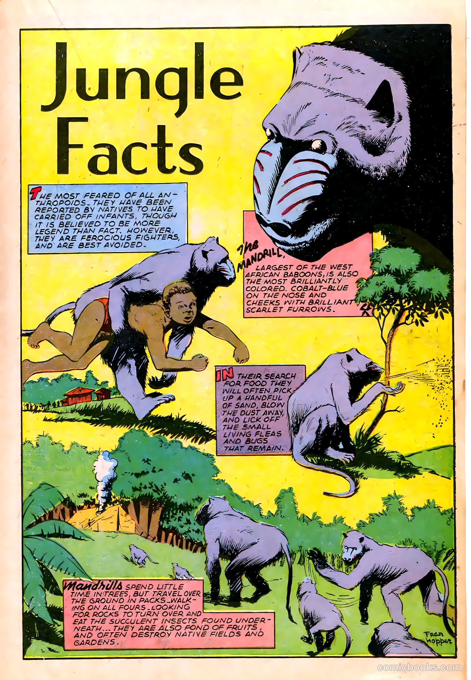 Jungle Comics #67 — page 23 of 52