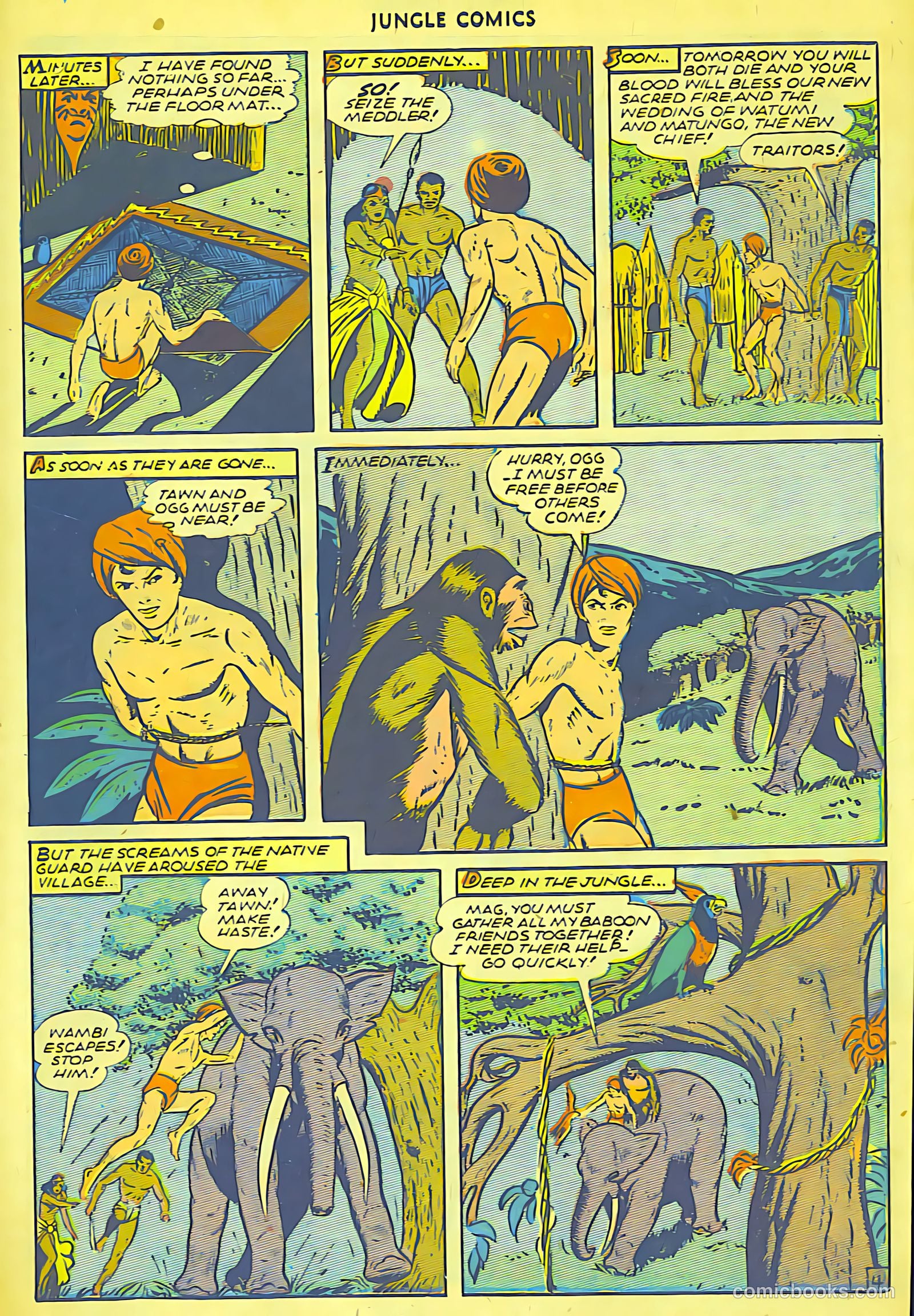 Jungle Comics #71 — page 21 of 36
