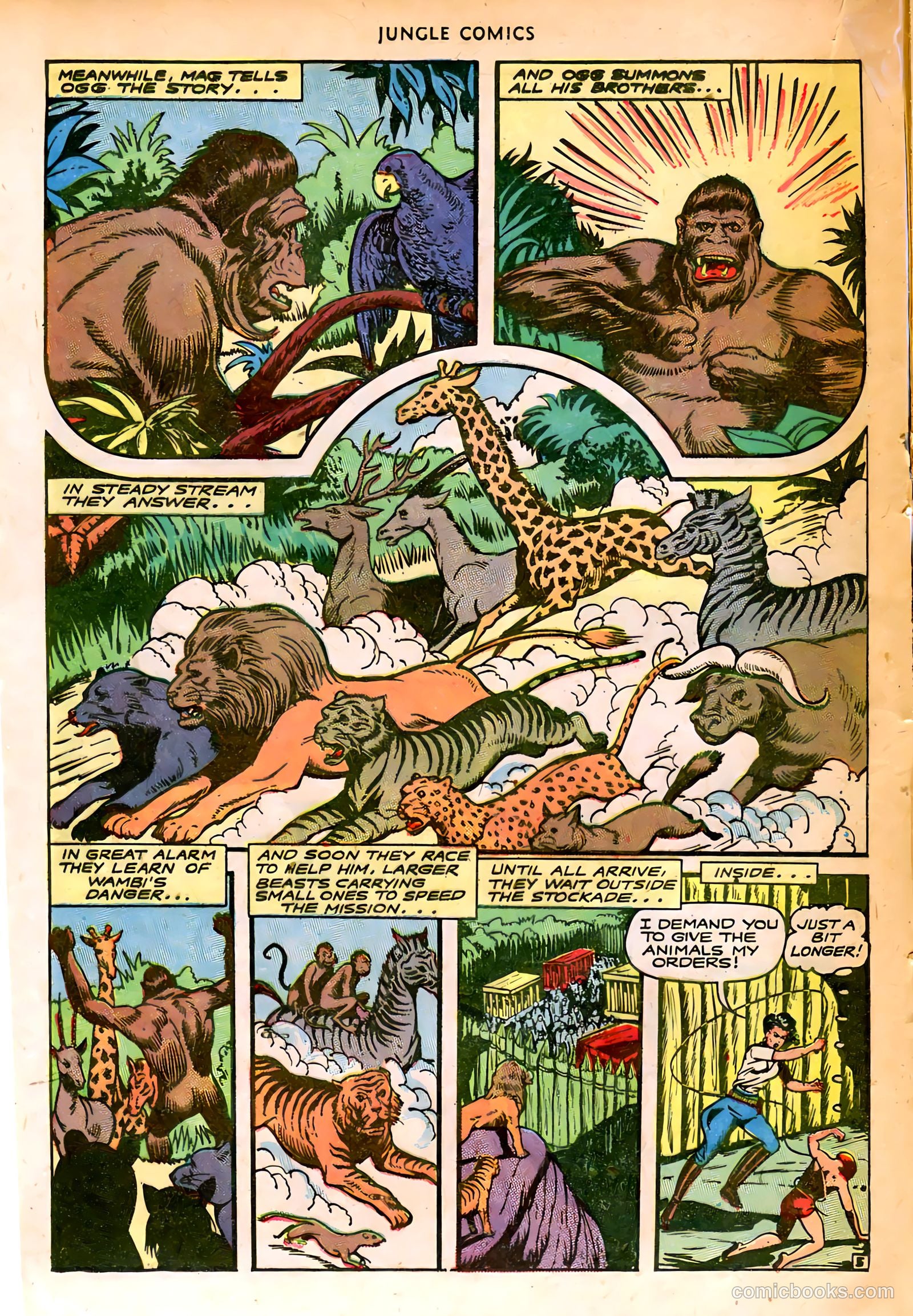 Jungle Comics #74 — page 25 of 53