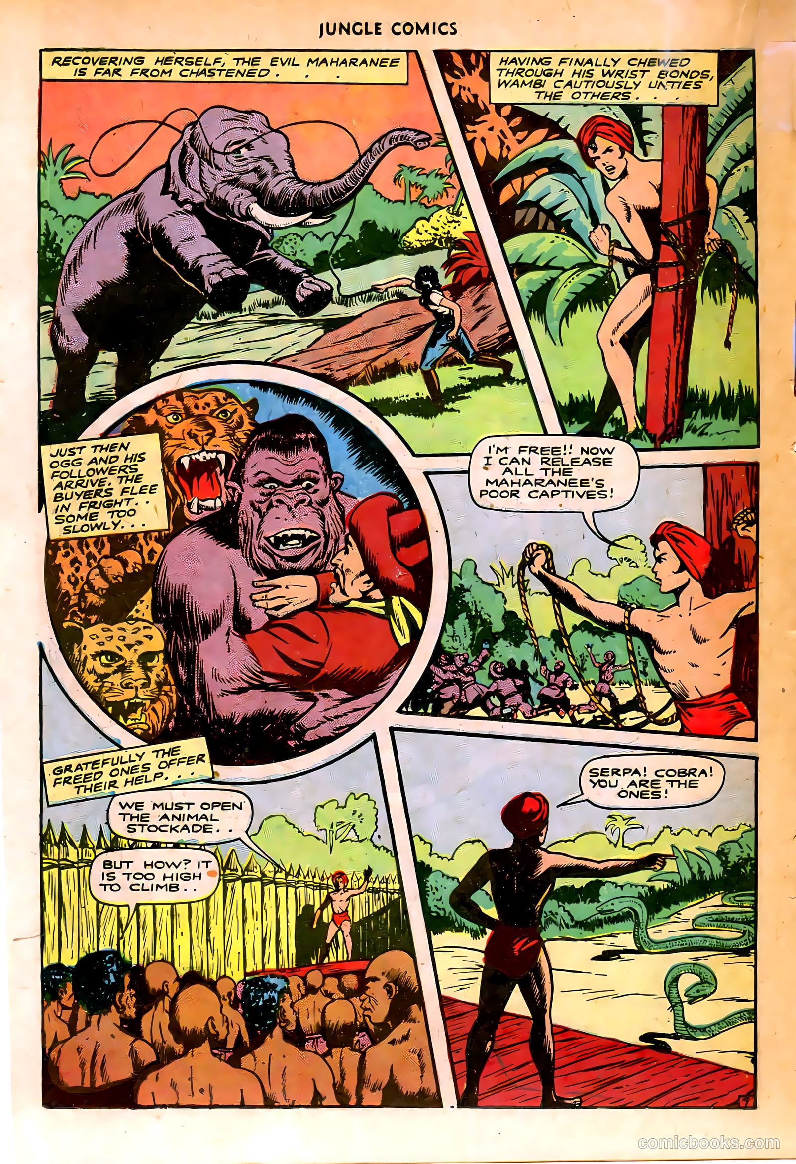 Jungle Comics #74 — page 27 of 53