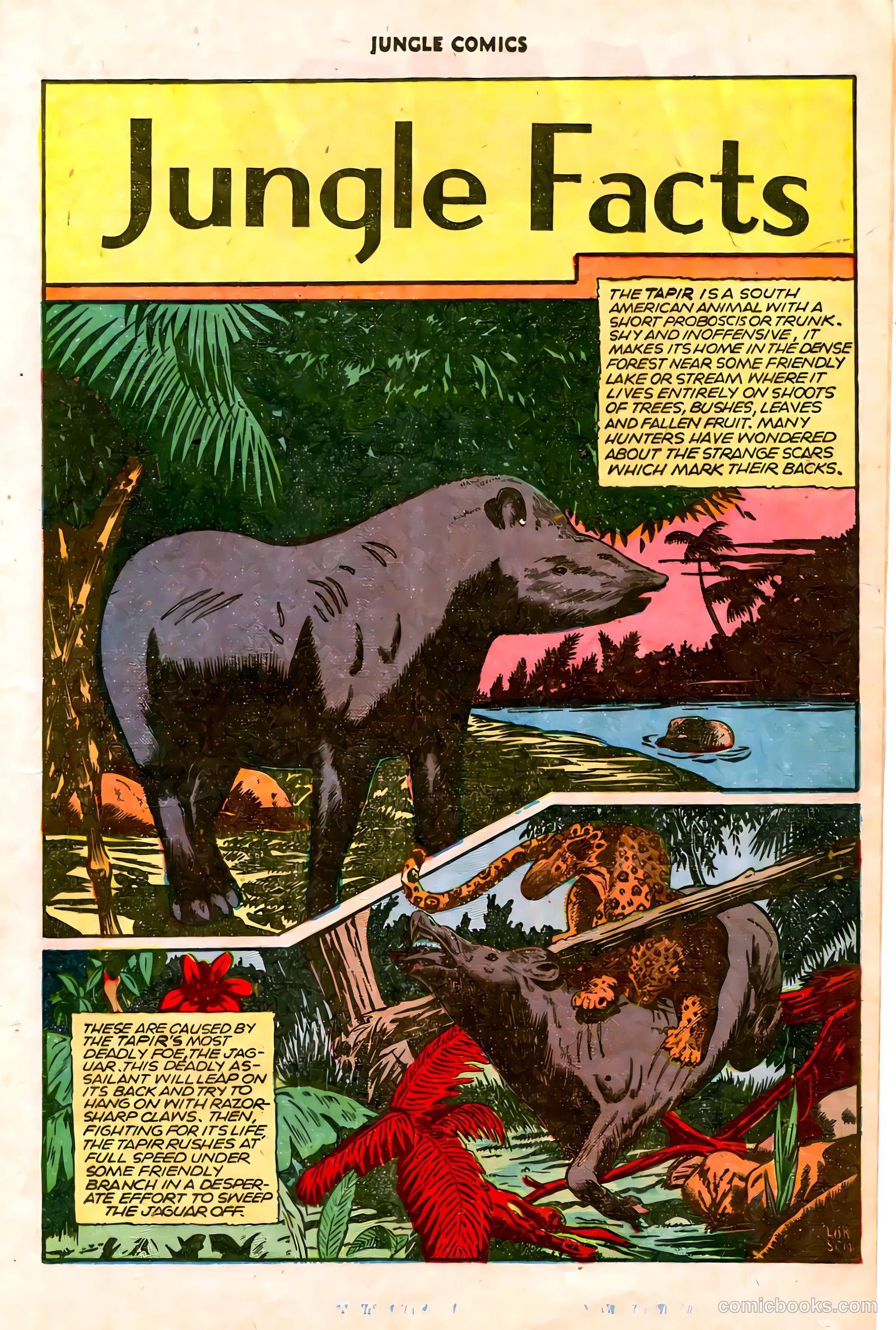 Jungle Comics #75 — page 19 of 52
