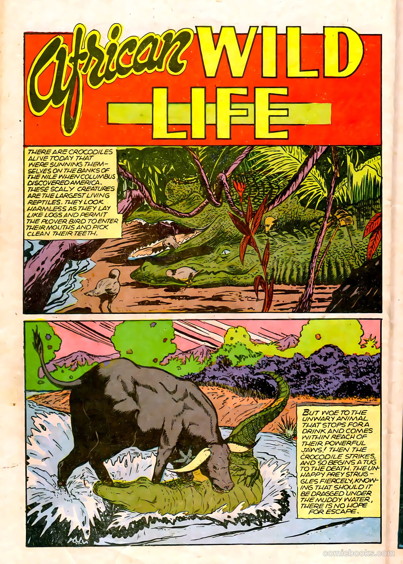 Jungle Comics #75 — page 36 of 52