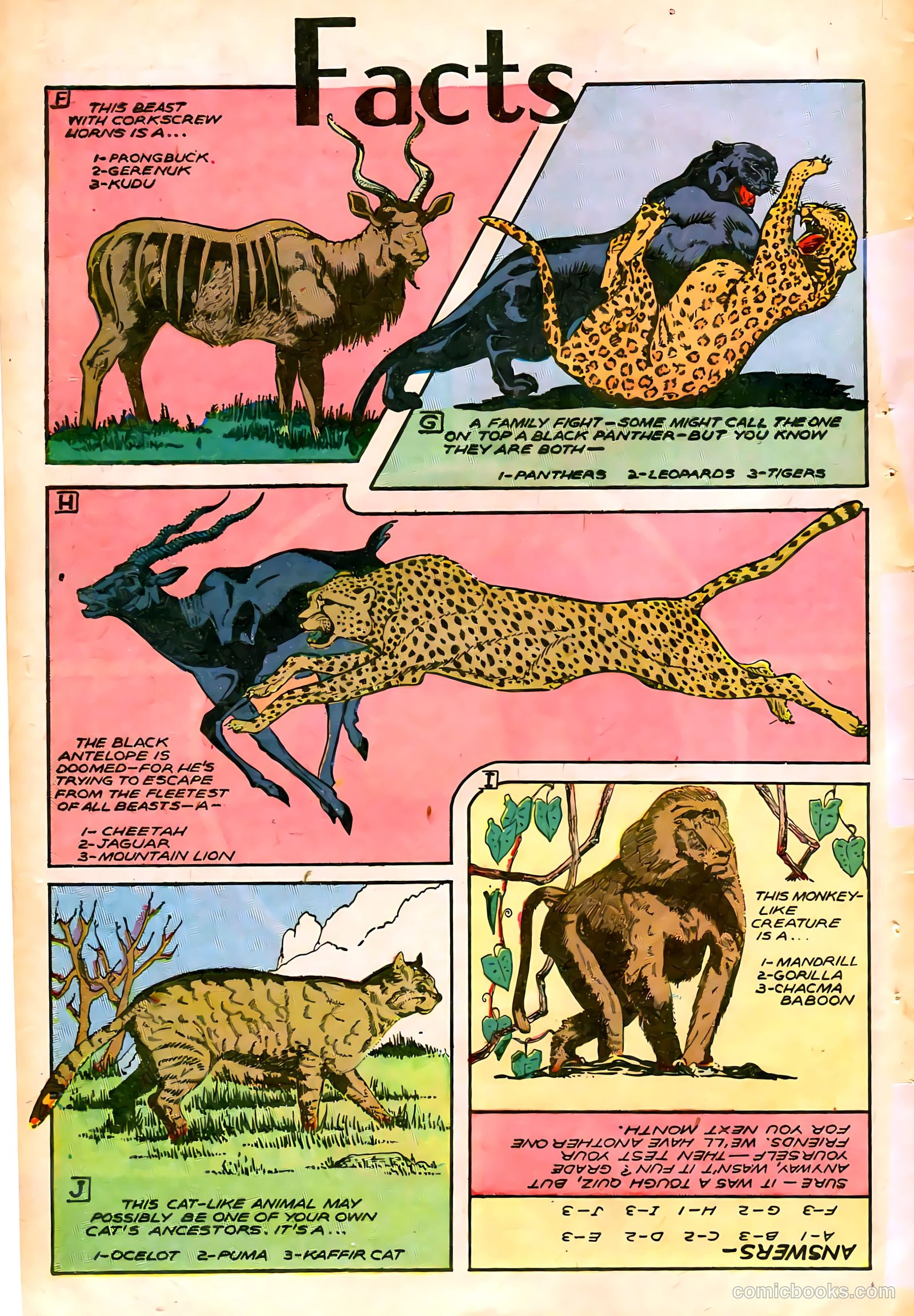 Jungle Comics #76 — page 43 of 53