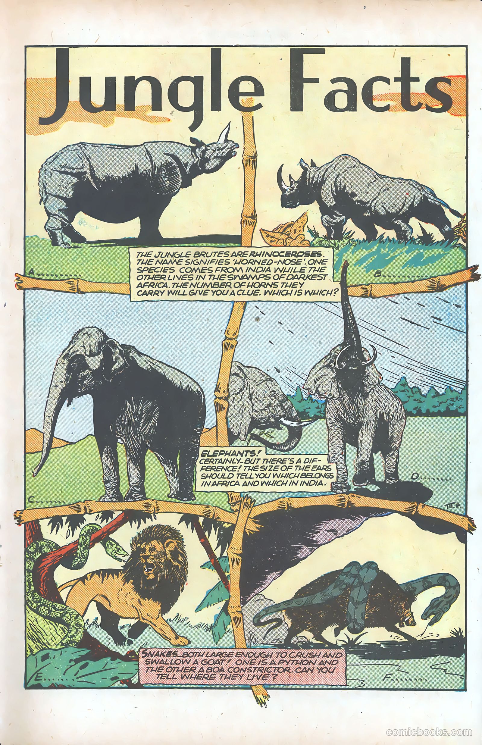 Jungle Comics #77 — page 42 of 53