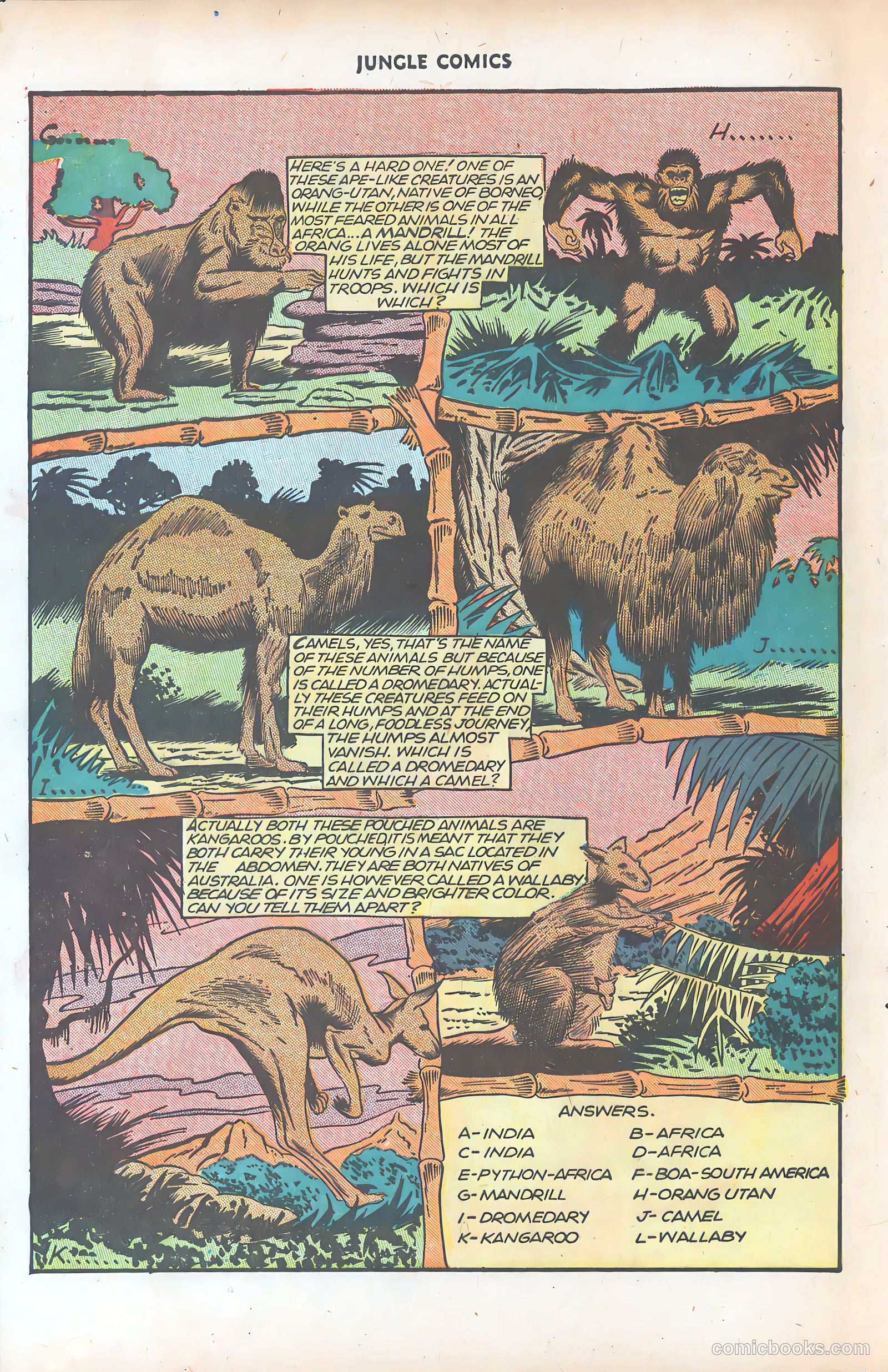 Jungle Comics #77 — page 43 of 53