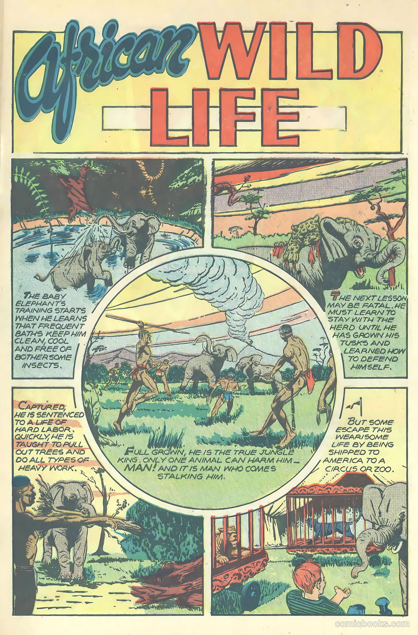 Jungle Comics #80 — page 42 of 53