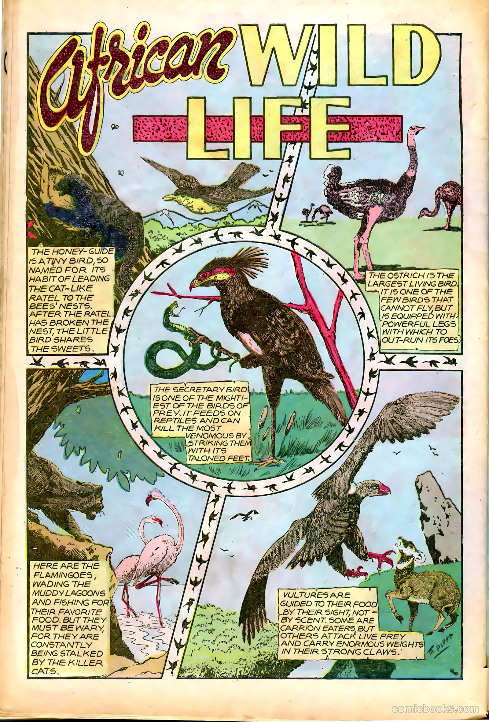 Jungle Comics #82 — page 42 of 52
