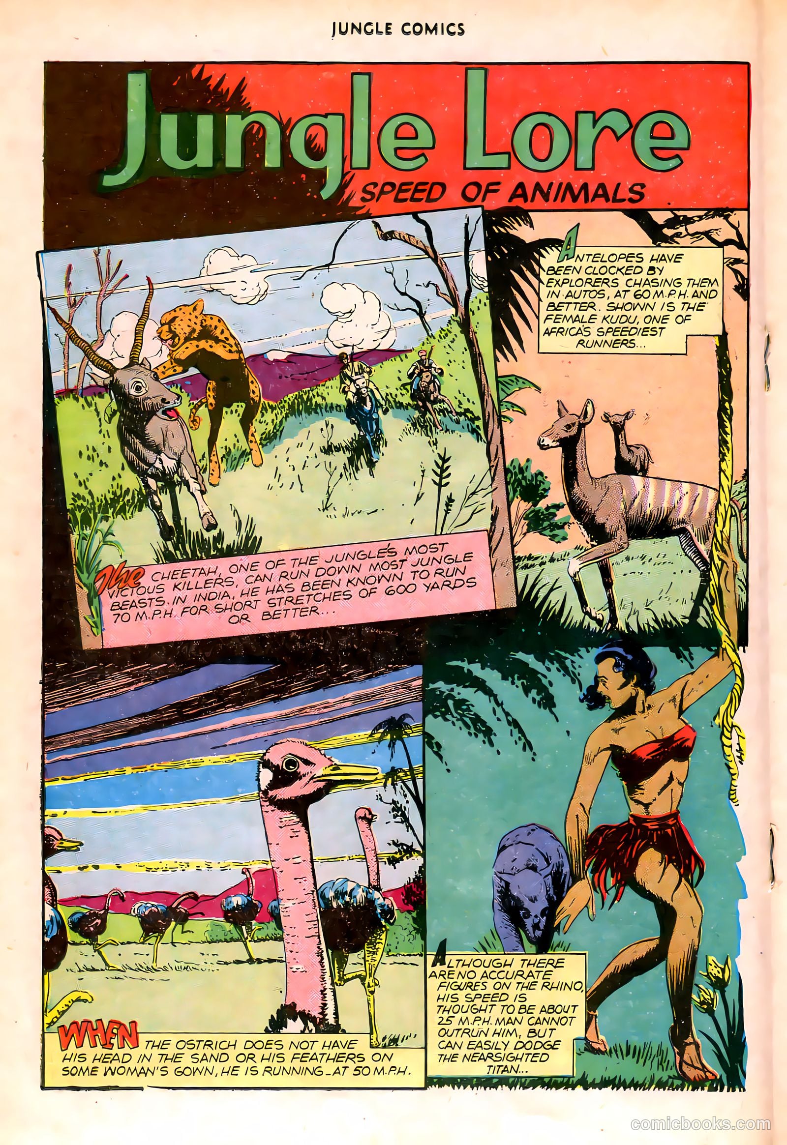 Jungle Comics #83 — page 27 of 53