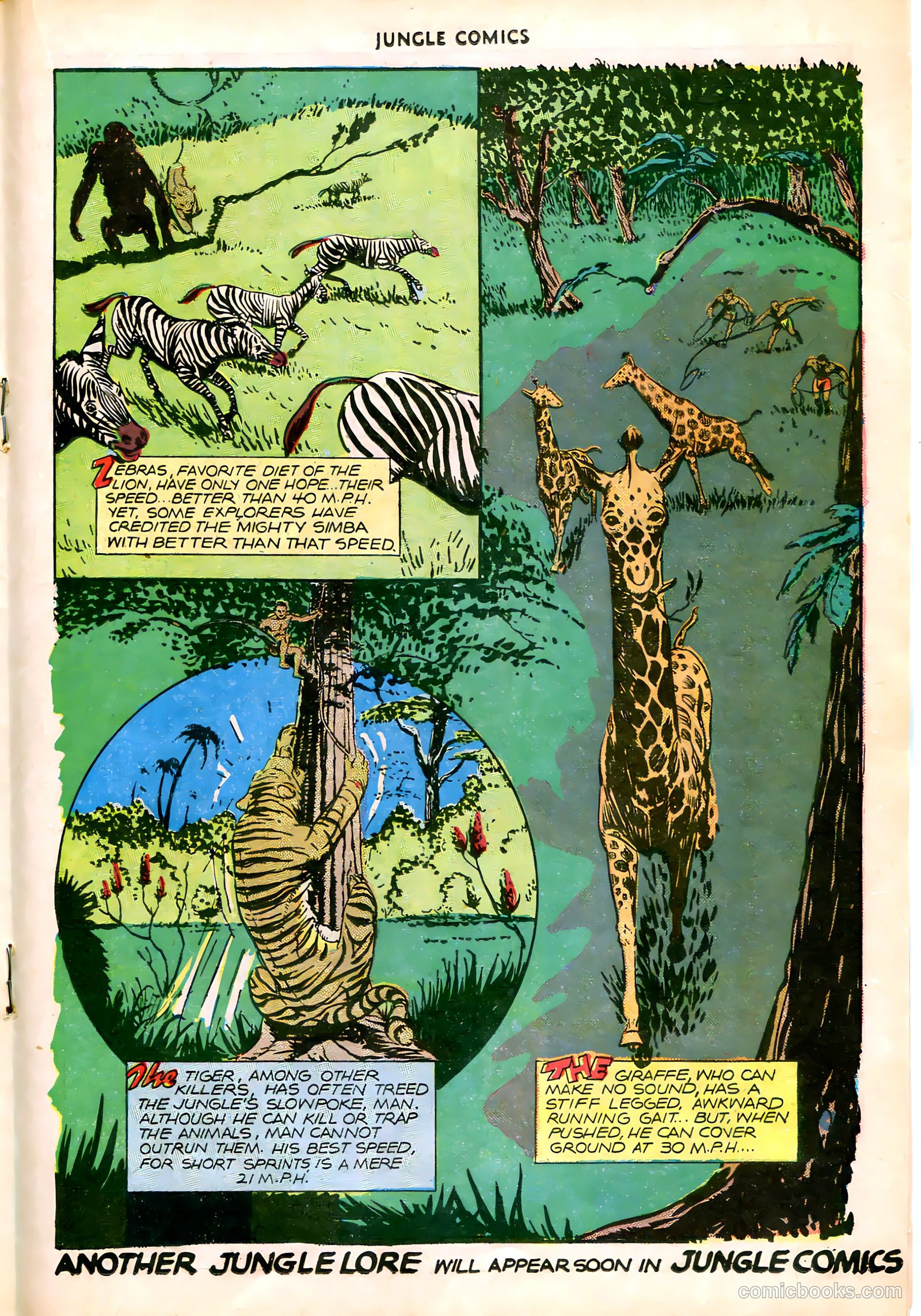 Jungle Comics #83 — page 28 of 53
