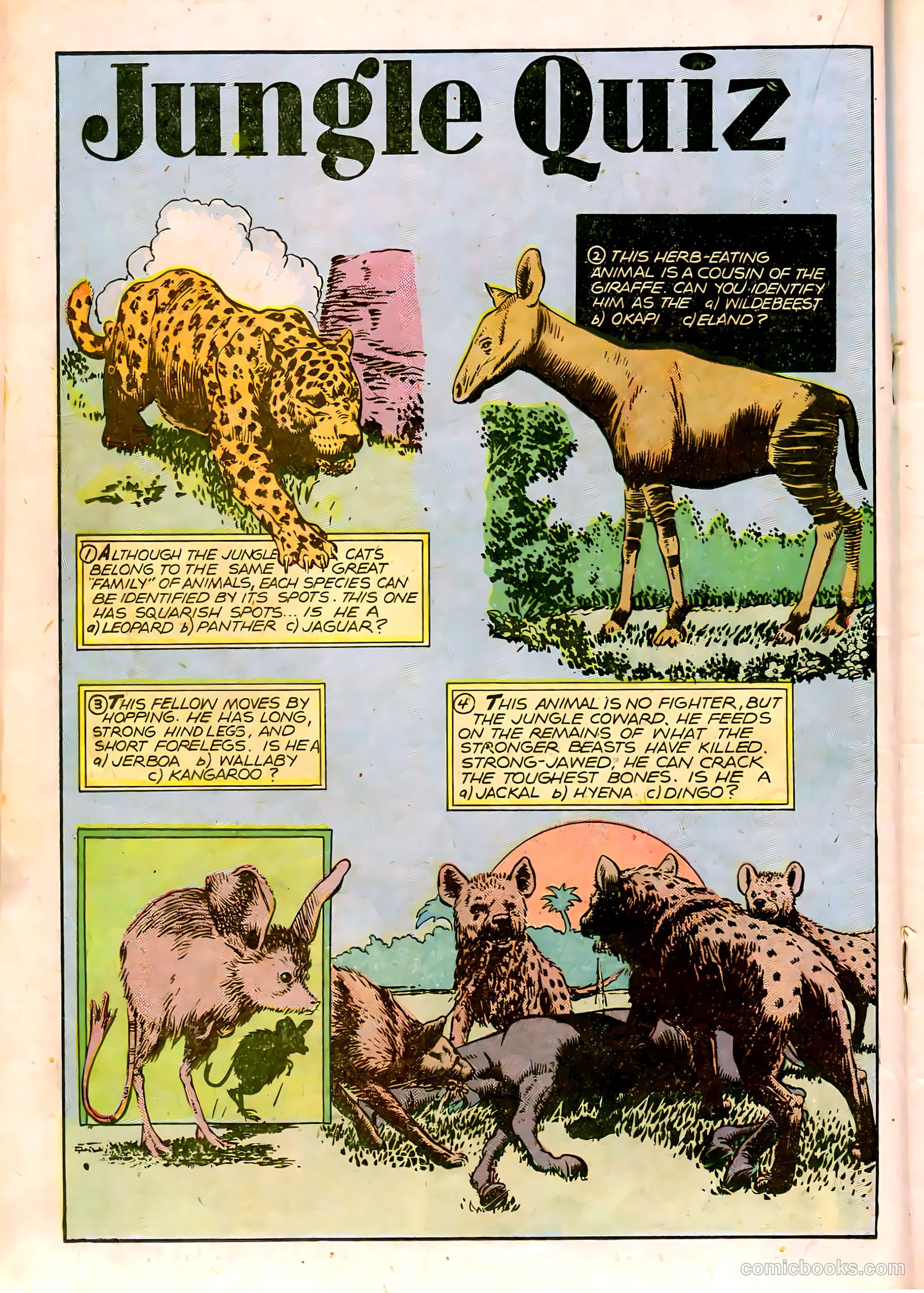 Jungle Comics #84 — page 27 of 53