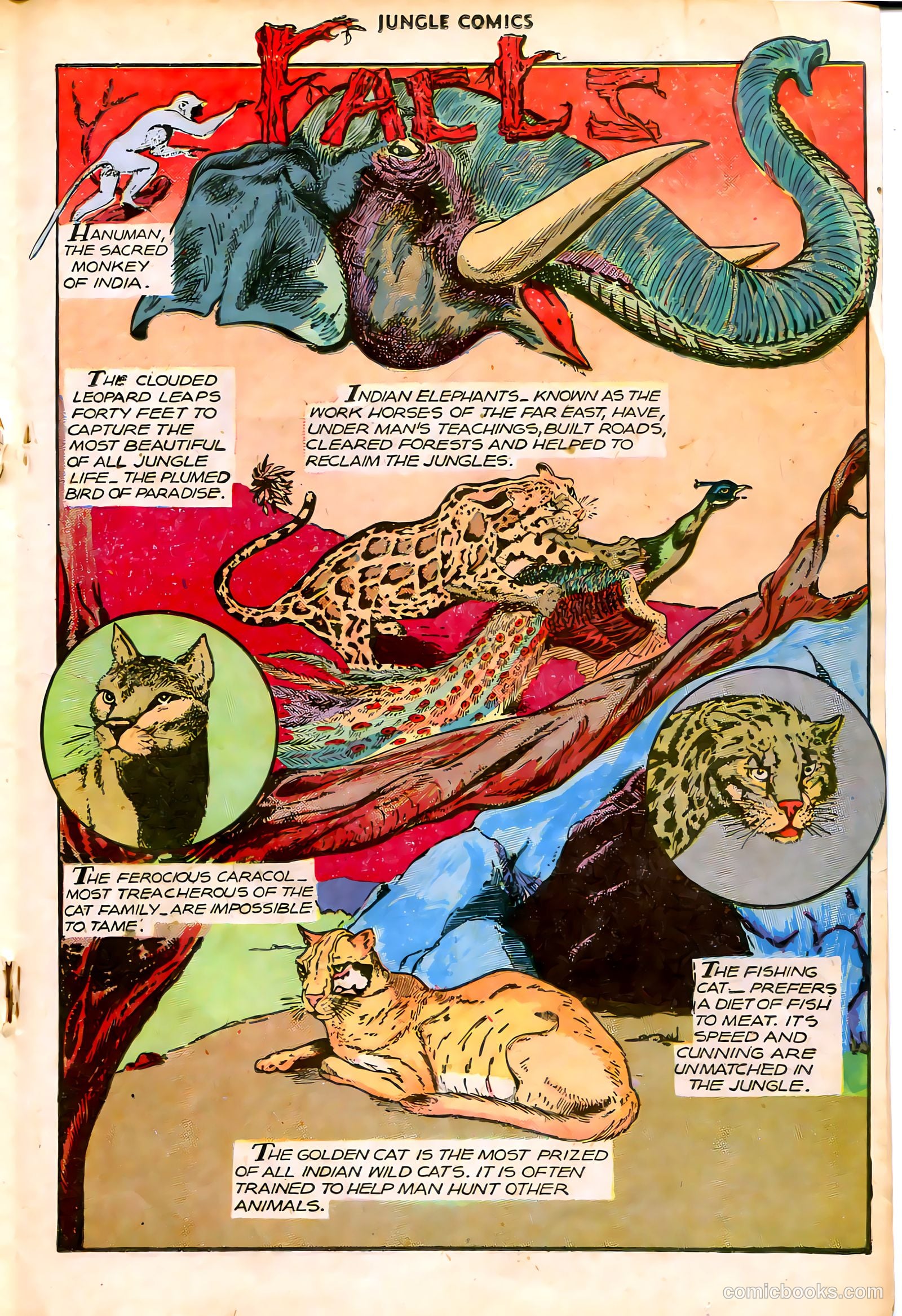 Jungle Comics #87 — page 27 of 52