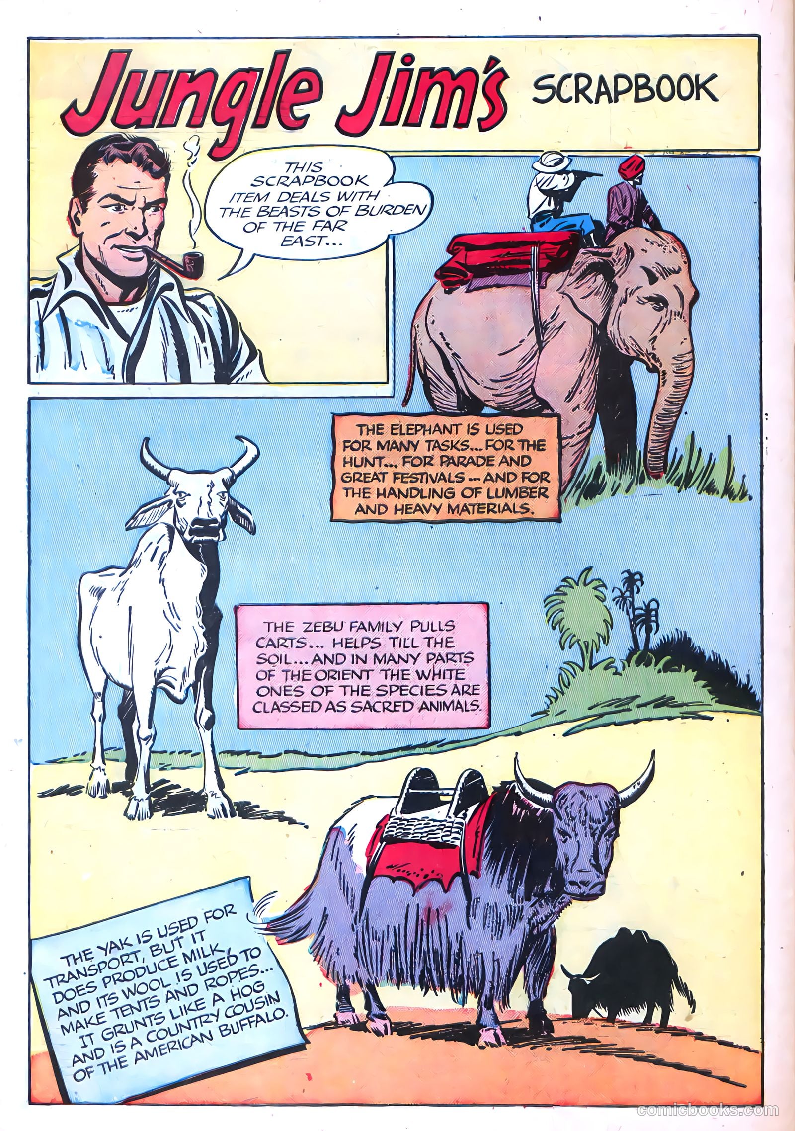 Jungle Jim #14 — page 34 of 36
