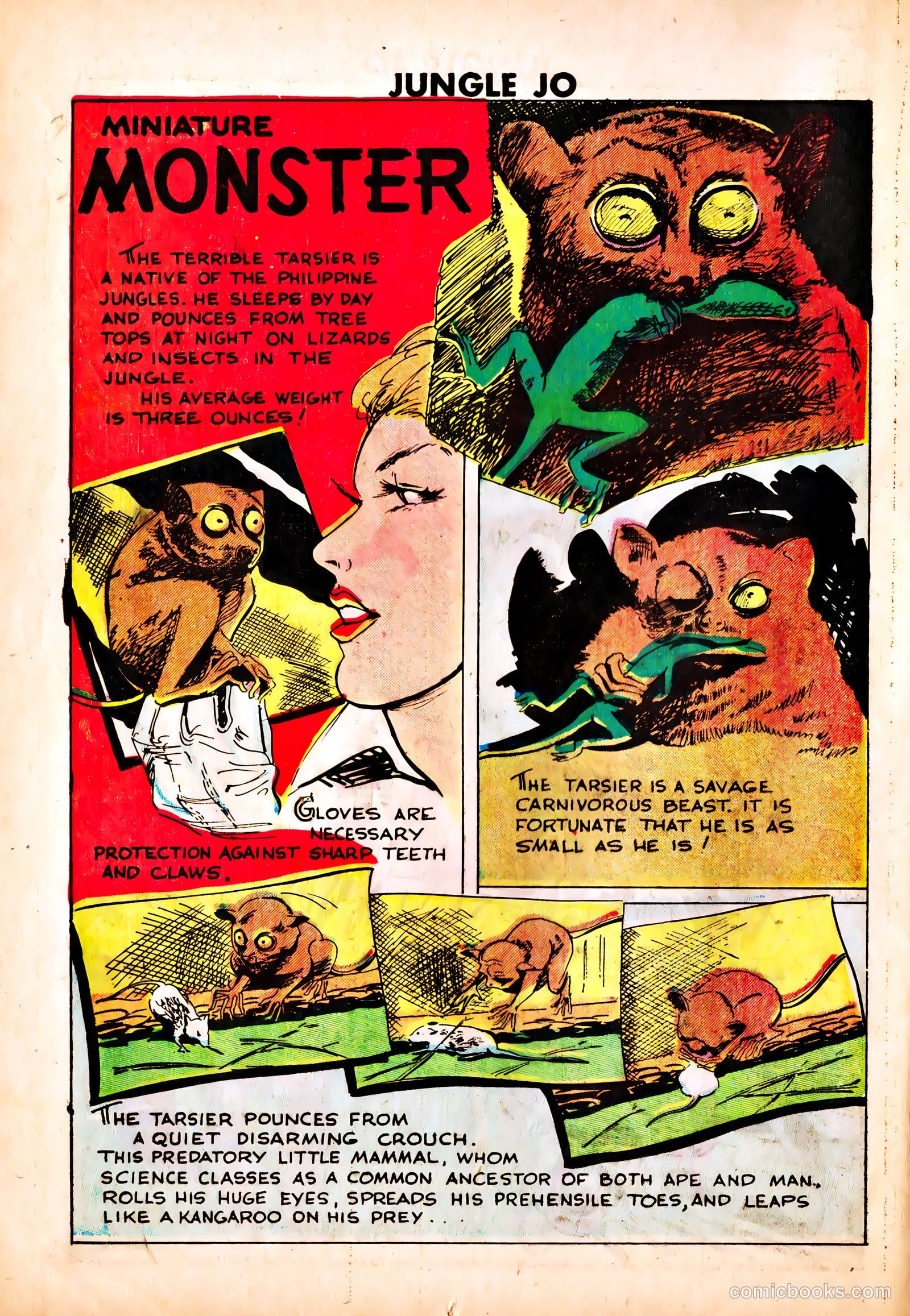 Jungle Jo #3 — page 12 of 36